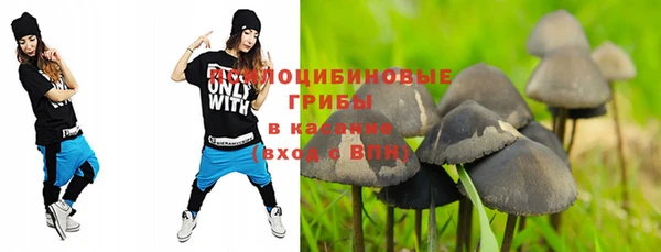 spice Алексин