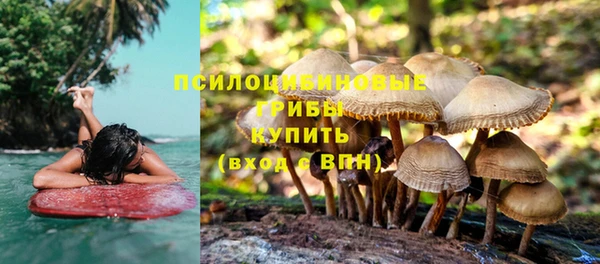 spice Алексин