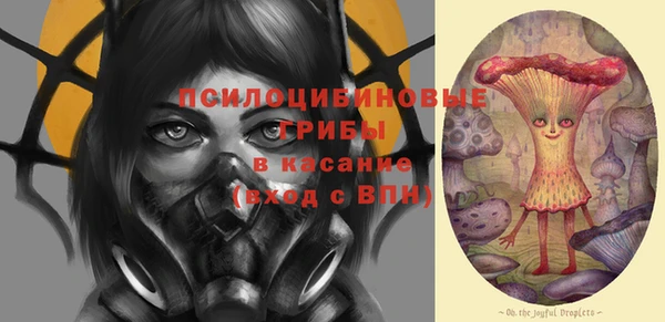 2c-b Алзамай
